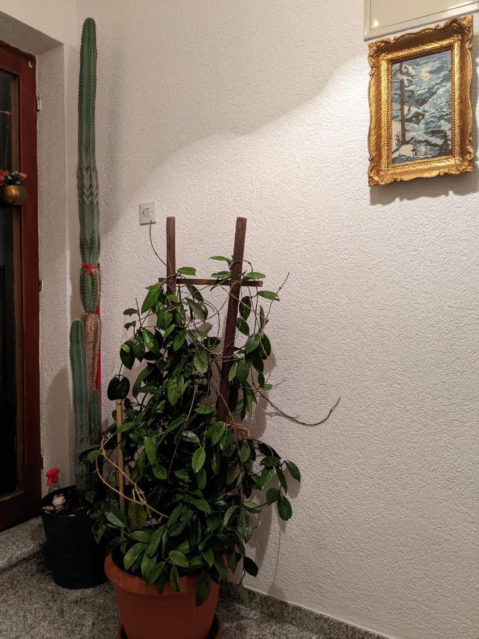 Apartmani Hrastik Bihać 外观 照片