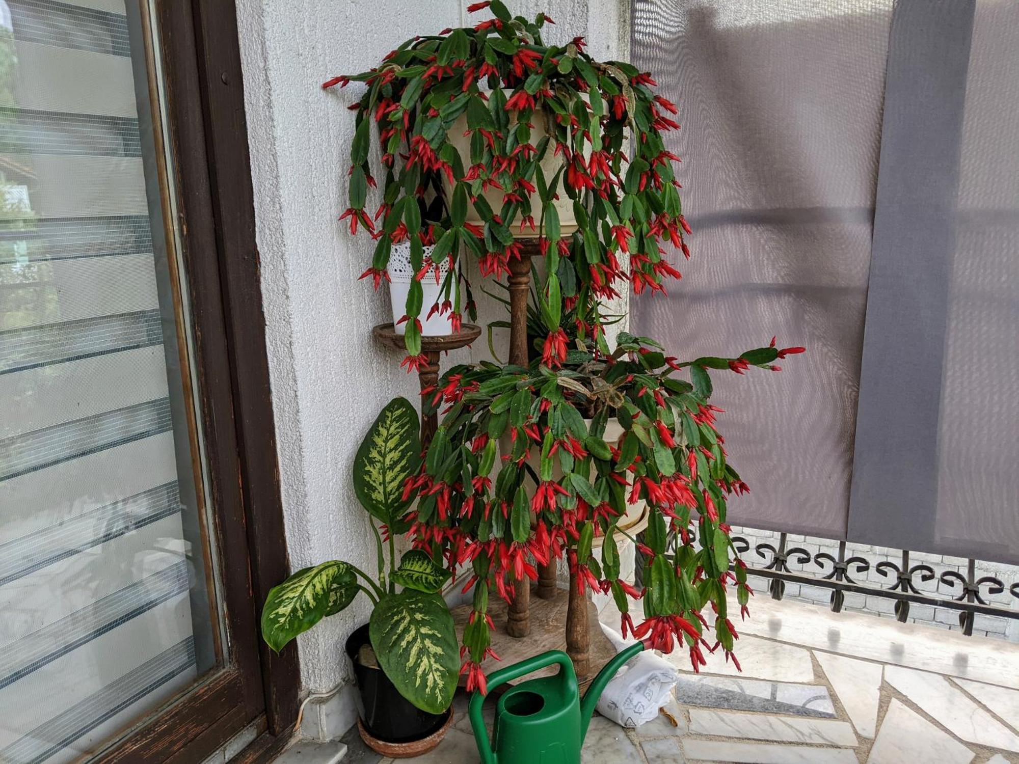 Apartmani Hrastik Bihać 外观 照片