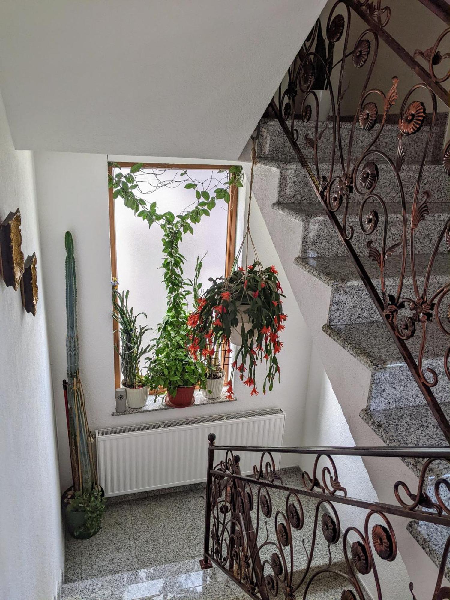Apartmani Hrastik Bihać 外观 照片