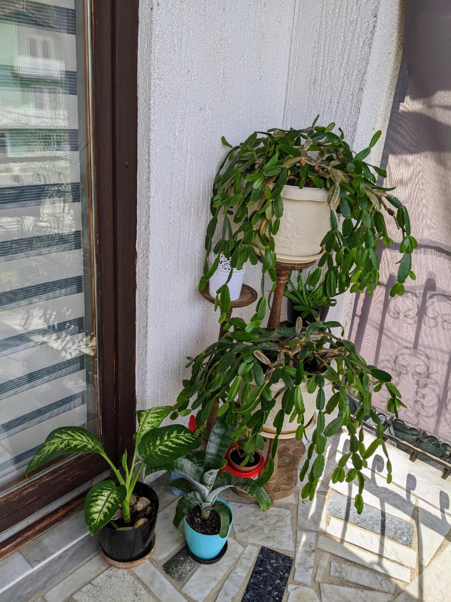 Apartmani Hrastik Bihać 客房 照片