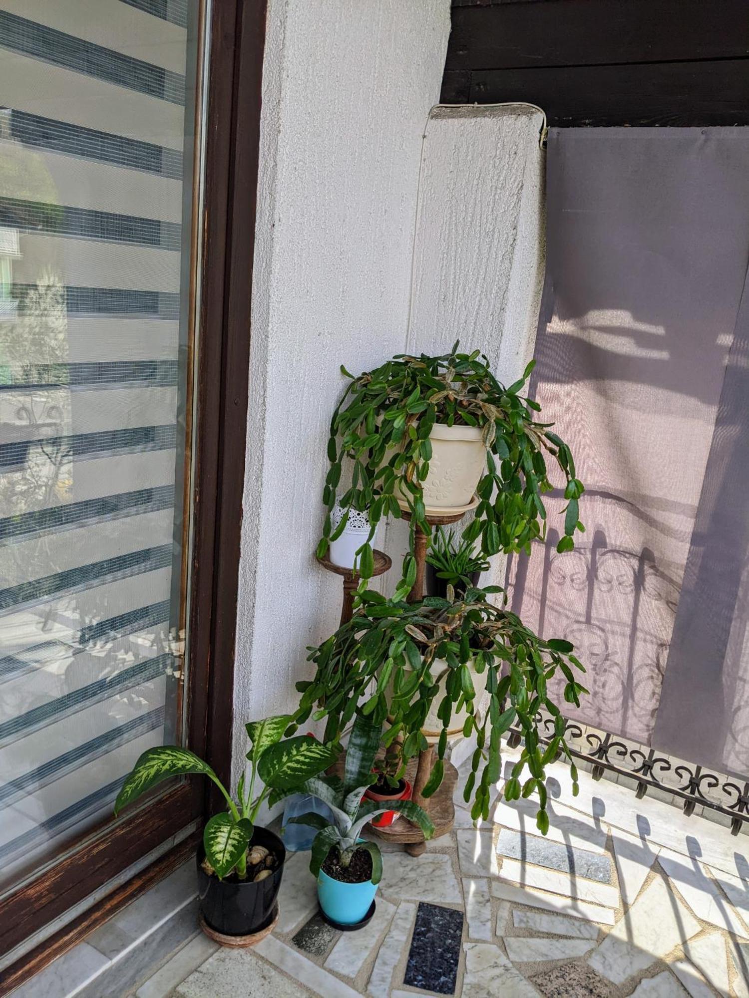 Apartmani Hrastik Bihać 客房 照片